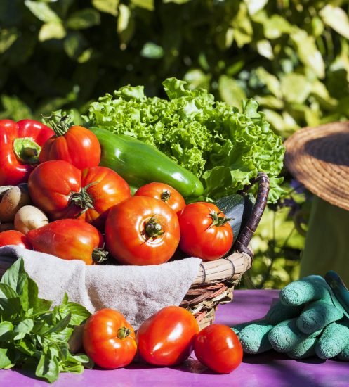 Vegetables in a basket under the sunlight